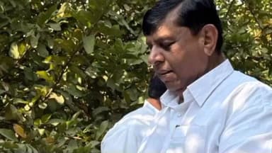 काटोल: प्रादेशिक फळ संशोधन केंद्र मार्फत सीड्स इस्ट ला आमदार चरण सिंग ठाकूर यांची भेट