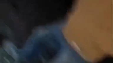 जयसिंहनगर: अमझोर में लकड़ी तस्करों का वन विभाग की टीम पर जानलेवा हमला