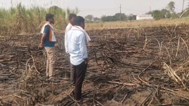 तेल्हारा: बेलखेड शिवारात उसाच्या शेतात भीषण आग, लाखो चे नुकसान