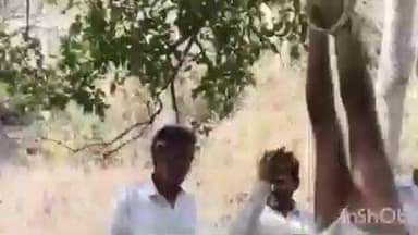 भानपुरा: तांखाजी मंदिर के जंगल में पेड़ से उल्टा लटका मिला युवक, राहगीरों की सतर्कता से बची जान