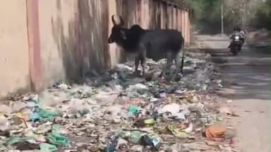 સાણંદ: નિધરાડ ગ્રામ પંચાયતની ઘોર બેદરકારીના કારણે સ્થાનિકોને મોટી હાલાકી