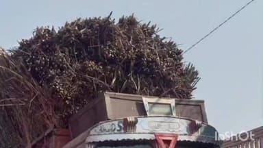 मोहम्मदी: उचौलिया थाना क्षेत्र में लगातार ओवरलोड वाहनों का संचालन जारी