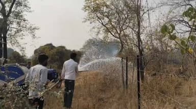 धरणगाव: धरणगाव येथील वनीकरण क्षेत्रात भीषण आग; दोन हेक्टरवरील झाडे जळून खाक