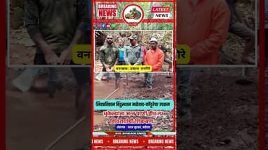 निसर्ग संवर्धनाचा वसा: पाणवठ्यांची स्वच्छता