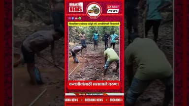 शिवप्रतिष्ठान हिंदुस्थान मळेवाड-कोंडूरे तर्फे आगळीवेगळी शिवजयंती; वन्यजीवांसाठी सरसावले तरुण!