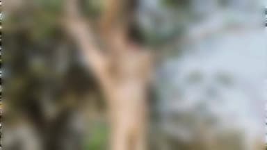 पत्थलगांव: बटुराकछार इला में अज्ञात युवती ने पेड़ पर फांसी लगाकर की आत्महत्या, जांच जारी