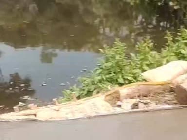 ভাঙড় ২: রমজানের প্রথম রোজার ভাঙ্গড়ের পোলেরহাট দু'নম্বর অঞ্চলের ১০৫ নম্বর বুথের ISF এর নেতৃত্বদের উদ্যোগে রাস্তা নির্মাণ করা হল