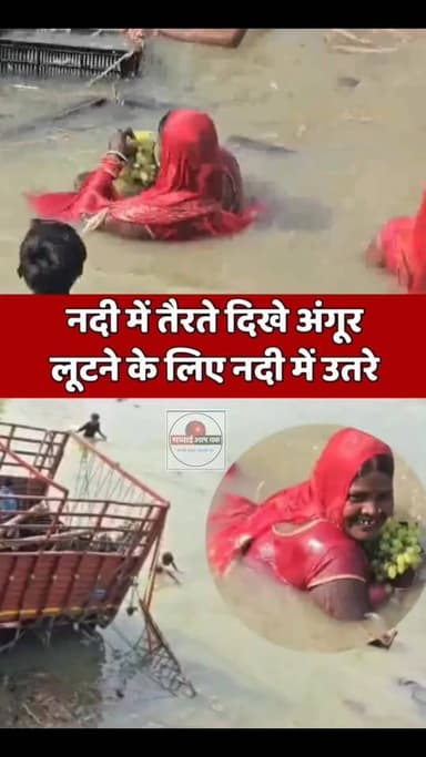 #Darbhanga Viral Video: नदी में तैरते दिखे अंगूर, लूटने के लिए उमड़ी लोगों की भारी भीड़
कृपया सच्चाई आप तक न्यूज 24 पेज...
