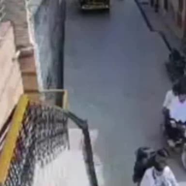 जायल: जायल शहर में बारात पर मधुमक्खियों ने किया हमला, डीजे साउंड की तेज आवाज के कारण हुआ हमला