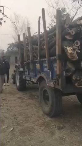 नरसिंहगढ़: कुरावर में पुलिस और वन विभाग ने अवैध लकड़ी से भरी ट्रैक्टर-ट्रॉली ज़ब्त की, मामला दर्ज