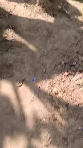 ये है सत्य जानकी iti का एग्जाम टाइम का नजारा