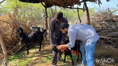 मावली: जोरजी का खेड़ा गांव में पशु बीमा एवं स्वच्छता कार्यक्रम का आयोजन, ग्रामीणों को सरकार की योजनाओं की दी गई जानकारी