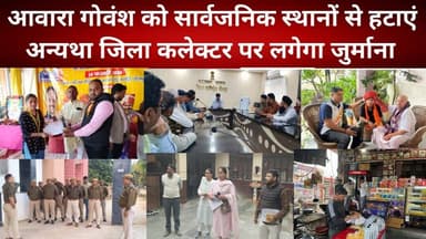 आवारा गोवंश को सार्वजनिक स्थानों से हटाएं अन्यथा जिला कलेक्टर पर लगेगा जुर्माना