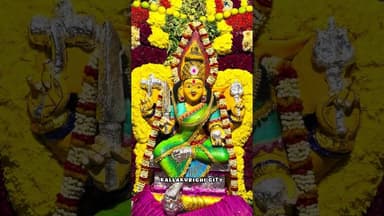 சித்தலூர் அருள்மிகு அங்காளம்மன் கோவில் மயான கொள்ளை 23/02/2026.தேர் திருவிழா.24/02/2026.,