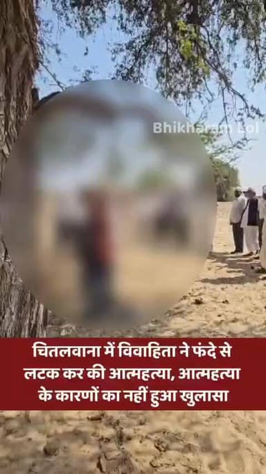 चितलवाना में खेजड़ी के पेड़ पर लटका मिला महिला का श*व पति बेंगलुरु से फ्लाइट से रवाना
चितलवाना कस्बे से करीब चार किलोम...