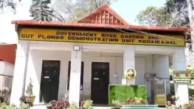 கொடைக்கானல்: கோடை சீசனுக்கு தயாராகும் வகையில் ரோஜா பூங்காவில் உள்ள செடிகளில் கவாத்து பணிகள் தொடக்கம்