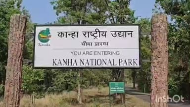 बिछिया: किसली रेंज में बाघ-तेंदुए का संघर्ष, नर तेंदुए की मौत, सिर पर मिले दांतों के निशान