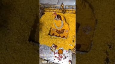 जय हो तारकेश्वर बाबा की आज की पूजा अर्चना सिंगार अलौकिक झांकी आरती के दर्शन कीजिए और