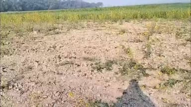 6.50 एकड़ जमीन पर घमासान, दो पक्ष आमने-सामने, डीएम-एसपी से लगाई न्याय की गुहार