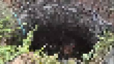 टेहरोली: मड़पुरा में कुएं के भीतर महिला का शव मिलने से मचा हड़कंप