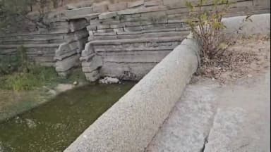 రాయదుర్గం: పట్టణంలోని కొండపై చిరుత అనుమానాస్పద స్థితిలో మృతి