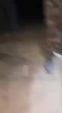 கடலூர்: தேவனாம்பட்டினத்தில் வனத்துறையுடன் ஆமை முட்டை சேகரிப்பில் ஈடுபட்ட வெளிநாட்டினர்