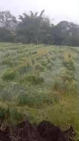 gram Savan tahsil jaalda jila Ujjain abhi tak Koi Adhikari sarve karne ke liye nahin Aaye