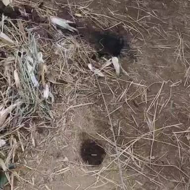 శింగనమల: బందుల వాడ గ్రామంలో బీసీ కాలనీ మెయిన్ రోడ్డులో పెద్ద లైను వైరు తెగి కిందపడింది. బైకు పూర్తిగా దగ్ధం