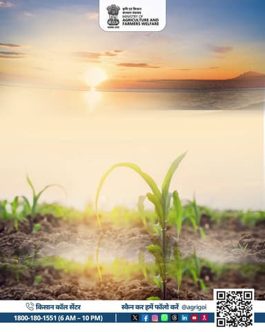 फसल विविधीकरण: जोखिम कम, आय अधिक।
दलहन-तिलहन व बागबानी अपनाएं, मिट्टी सुधारेँ, आमदनी बढ़ाएं।