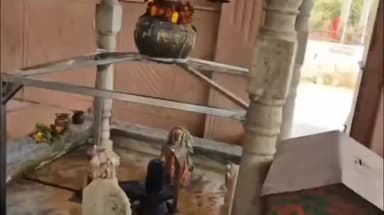 कनीना: कनीना में 27 फरवरी से बाबा मोलड़नाथ का ऐतिहासिक शक्कर मेला लगेगा