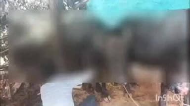 करेरा: सिरसौना गांव के चंदनपुरा में आकाशीय बिजली गिरने से बाड़े में बंधी दो भैंसें घायल