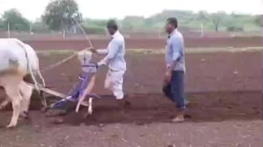 નાંદોદ: *એગ્રીસ્ટેક પ્રોજેક્ટ અંતર્ગત ડિજિટલ ક્રોપ સર્વેનું AI BOT દ્વારા વેરિફિકેશન બાબતે નર્મદા જિલ્લાના ખેડૂતો જોગ સંદેશ*