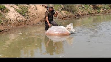 नबीनगर: सोन दियारा में बड़ी कार्रवाई: झिकटिया से 3000 लीटर जावा महुआ और दो भट्ठियाँ की गईं ध्वस्त