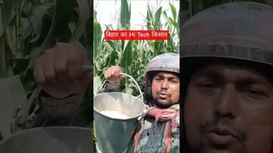 हेलमेट का कमाल देखिए, बिहार में मक्का किसानों का बना सहारा 😊 #shorts #maize #bihar