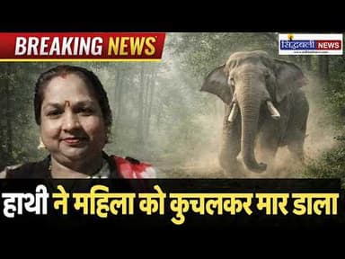 यहां पाया गया फर्जी जन सेवा केंद्र, एक दबोचा..सहित देखिए उत्तराखंड के मुख्य समाचार : Sidhbali News