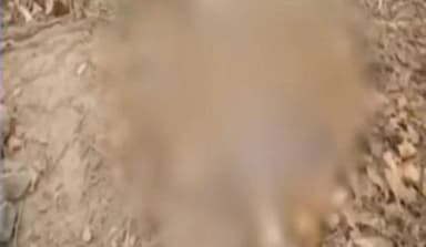 पनागर: बरेला प्राथमिक कन्याशाला स्कूल में नरकंकाल मिलने से सनसनी, पुलिस जांच में जुटी