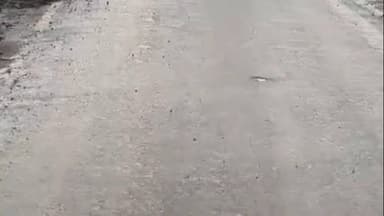 बासोदा: झमाझम बारिश से फसलों पर संकट, किसान चिंतित