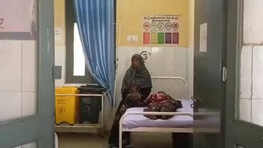 तिलहर: इमली मोहल्ले में बंदर के हमले से किशोरी घायल, उसे राजकीय मेडिकल कॉलेज किया गया रेफर