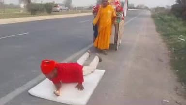 कुचायकोट: भठवा मोड पहुंचे दंडवत यात्रा पर निकले पति-पत्नी, वृंदावन में प्रेमानंद महाराज से करेंगे मुलाकात