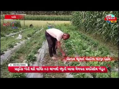 પ્રાકૃતિક ખેતી થકી વાર્ષિક ૦૩ લાખથી વધુની આવક મેળવતા પ્રગતિશીલ ખેડૂતશ્રી હિરાભાઇ ડામોર