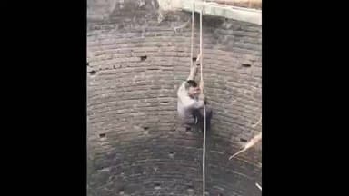 છોટાઉદેપુર: પાનવડ ગામની સીમમાં આવેલ કુવામાંથી વન વિભાગ દ્વારા અજગરનુ રેસ્ક્યુ કરાયું.