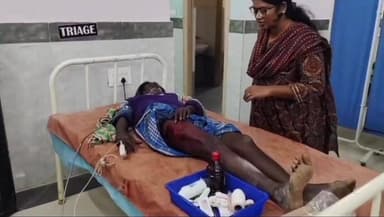 వృద్ధుడుపై ఎలుగుబంటి దాడి రక్షణ కల్పించాలని ప్రజలు