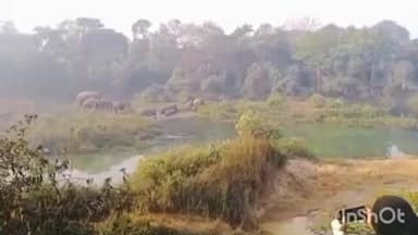 ତୁରୁମୁଙ୍ଗା: ପଳାଶପଙ୍ଗା ସେକ୍ସନ ର ମଙ୍ଗଳା ପଶି ଗାଁ ଅରଡେଇ ନଦୀ କୂଳରେ ସ୍ତର ଟିକିଆ ହାତୀ ପଲ