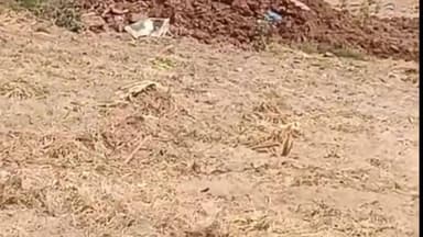 ਕਪੂਰਥਲਾ: ਪਿੰਡ ਖੈੜਾ ਦੋਨਾ ਵਿਖੇ ਗਲੀ ਵਿਚ ਬਣੀ ਕੰਧ ਢਾਹੁਣ ਲੈ ਕੇ ਹੋਈ ਲੜਾਈ ਚ ਇੱਕੋ ਪਰਿਵਾਰ ਦੇ ਤਿੰਨ ਮੈਂਬਰ ਜ਼ਖਮੀ, ਤਿੰਨ ਵਿਰੁੱਧ ਕੇਸ ਦਰਜ