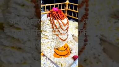 जय हो तारकेश्वर बाबा की आज की पूजा अर्चना सिंगार अलौकिक झांकी आरती के दर्शन कीजिए।