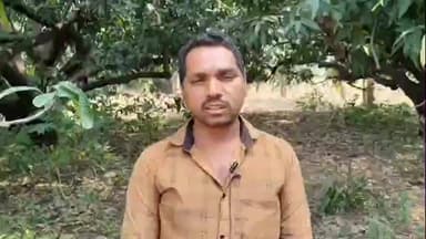 છોટાઉદેપુર: તાલુકા સહિત વિસ્તારમાં માવઠાંથી આંબાવાડી કરતા ખેડૂતોને ભારે નુકસાન,ખેડૂતોએ આપી માહિતી #Jansamasya