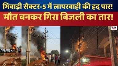 Bhiwadi News : बिजली विभाग की बड़ी लापरवाही, करंट से तड़पकर मरी गाय! |Bhiwadi |#BreakingNews