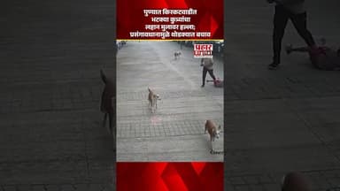 पुण्यात किरकटवाडीत भटक्या कुत्र्यांचा लहान मुलावर हल्ला; प्रसंगावधानामुळे थोडक्यात बचाव