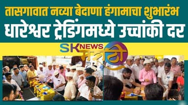 तासगावात नव्या बेदाणा हंगामाचा शुभारंभ धारेश्वर ट्रेडिंगमध्ये 411 रुपयांचा उच्चांकी दर