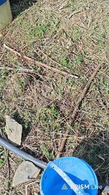 Live from Barshogi Bhuntar
Follow our Facebook Channel Satrangi Channel, Kullu Bhuntar Halchal, Mullanpur TV & Subscribe...